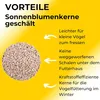 A pile of shelled sunflower seeds next to text describing their benefits for bird feeding. Produktbild-Vorschau