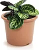 Prosperplast Pot de fleurs PLASTICA Terracotta 34 cm Voir les images du produit 4
