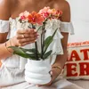 Kolibri Orchids KOMBINOVANÁ NABÍDKA: 4 oranžové orchideje Náhled obrázku produktu 4