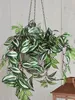 Mica Decorations Tradescantia - závesná umelá rastlina v Náhľad obrázku produktu 5
