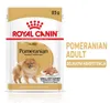 Royal Canin Pomeranian Adult 24x85g Nassfutter, Pastete für Produktbild-Vorschau 8