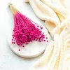 Flachs Getrocknete - (Leinen) - Fuchsia Produktbild-Vorschau 4