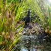 esotec Wasserspeier GANS ERNA mit Solar-Teichpumpe Produktbild-Vorschau 5