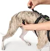 Imbracatura da panico Hunter Vario Rapid Nylon nero Taglia: Anteprima dell’immagine prodotto 8