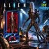 NECA Alien, Big Chap Xenomorfo, scala 1/4, edizione Anteprima dell’immagine prodotto 4