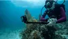 GoPro Verlängerungsstange mit 1/4-20-Gewindeeinsatz Produktbild-Vorschau 7
