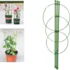 Verk 01894 Kruhová podpera rastlín 60 cm Náhľad obrázku produktu 3