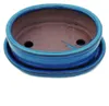 Bonsai-Schale mit Unterteller Gr. 2 - Blau - oval - Modell Produktbild-Vorschau 2