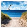 Leinwandbild Weg zum Strand und Möwe 50x50 Feeby Blau bild Produktbild-Vorschau 3