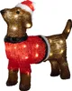 LED Hund beleuchtet Acryl bunt/braun IP44 mit Stecker Náhľad obrázku produktu 1