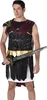 A man dressed in a Roman gladiator costume holding a sword. Anteprima dell’immagine prodotto