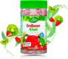 KING GEORGE Instant Tee Erdbeer Kiwi 12 x 400g Produktbild-Vorschau 1