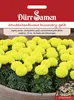 Dürr-Samen - Studentenblumen Discovery gelb einjährig 25 cm Produktbild-Vorschau 1