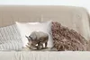 MuchoWow® Zierkissen Sofakissen Wohnzimmer Dekokissen 40x40 Produktbild-Vorschau 4