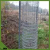 Wildzaun - Forstzaun – Knotengeflechtzaun - 120 Cm - 50 M - Produktbild-Vorschau 8
