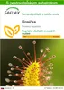 SAFLAX - rosička - Drosera capensis - 200 Semená - S Náhľad obrázku produktu 1
