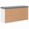 vidaXL Lavica na topánky, biela, 102 x 32 x 50 cm, Náhľad obrázku produktu 5