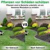 A split image showing a garden bed before and after the installation of a flexible lawn edge. Produktbild-Vorschau