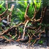 Legno per acquario Red Moor decorazione naturale, rami Anteprima dell’immagine prodotto 8
