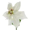 GASPER Weihnachtsstern - Poinsettie Weiß 60 cm - Produktbild-Vorschau 3