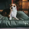 Hunter Orthopädisches Hundekissen Merida, Größe:M, Produktbild-Vorschau 15