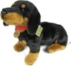 Bassotto Peluche Con Collare 36 Cm Ecologico Anteprima dell’immagine prodotto 12