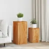 vidaXL Plantenstandaard, 2 stuks, massief acaciahout Productafbeelding-voorbeeld 1