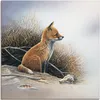 ARTland Leinwandbild Kleiner Fuchs Größe: 70x70 cm Produktbild-Vorschau 1