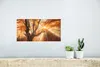 MuchoWow® Poster Baum - Natur - Herbst 40x20 cm - Poster Produktbild-Vorschau 5