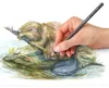 STAEDTLER® 14610T C12 Matita colorata tinted 12 ST    100% Anteprima dell’immagine prodotto 4