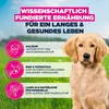 Eukanuba Cucciolo Grande ricco di agnello 12kg Anteprima dell’immagine prodotto 5