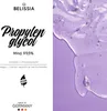Belissia Propylenglykol 1l 99,5% - Hochrein in Produktbild-Vorschau 2