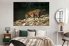 MuchoWow® Poster Tiger - Baby - Felsen 180x120 cm - Produktbild-Vorschau 4