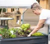 Palram - Canopia Metall Hochbeet mit Gewächshaus Plantino Produktbild-Vorschau 3