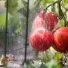 Podstawka na rośliny 76 cm czarna, zestaw 2 szt Podgląd zdjęcia produktu 3