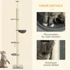 PawHut, tiragraffi per gatti, albero per gatti ad altezza Anteprima dell’immagine prodotto 6
