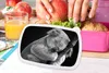 KitchenYeah® Lunchbox Brotzeit Brotdose 17x11 cm Koala - Produktbild-Vorschau 3