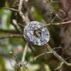 A bird feeder ring made of seeds and suet is hanging on a tree branch. Produktbild-Vorschau