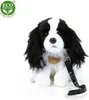 Peluche King Charles Spaniel Con Guinzaglio 27 Cm Eco-f. Anteprima dell’immagine prodotto 6