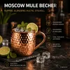 6 Moscow Mule Becher 500ml Kupferfarben Edelstahl Produktbild-Vorschau 8
