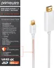Primewire Mini DisplayPort zu HDMI Typ A Audio- & Produktbild-Vorschau 2