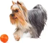 Lettore di palline per cuccioli e cani di piccola taglia 5 Anteprima dell’immagine prodotto 17