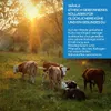 Aavalabs Kollagen Pulver | Typ I, III, V & X | 9300 mg | Produktbild-Vorschau 6