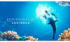 Nintendo Games Switch Endless Ocean Luminous Switch Produktbild-Vorschau 2