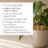 Sphagnum Moos 1000g, ca. 80L – stark Wasser-speicherndes Produktbild-Vorschau 3
