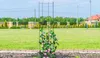 KADAX Pergola Ogrodowa Kolumna Na Kwiaty Róże 120 cm Podgląd zdjęcia produktu 10