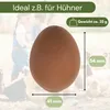 6x Legeeier Kunsteier Nesteier für Hühner Gipseier Bruteier Produktbild-Vorschau 2