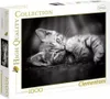 Clementoni Puzzle 39422 - Koťátko (1000 dílků) Náhled obrázku produktu 9