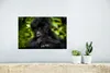 MuchoWow® Poster Nahaufnahme eines jungen Gorillas 30x20 cm Produktbild-Vorschau 5