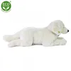 Plyšový ležiaci retriever 60 cm ENVIRONMENTÁLNE ŠETRNÝ Náhľad obrázku produktu 4